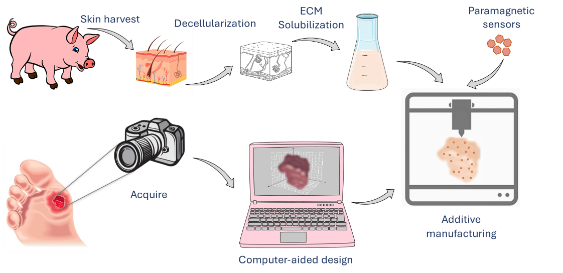 Picture for Additive manufacturing of ECM-based oxygen-sensing skin graft for the personalized treatment of chronic wounds